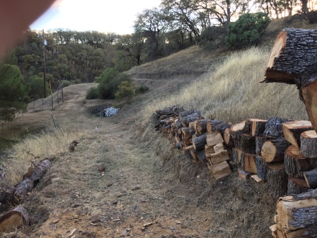 Wood cutting 02.JPG